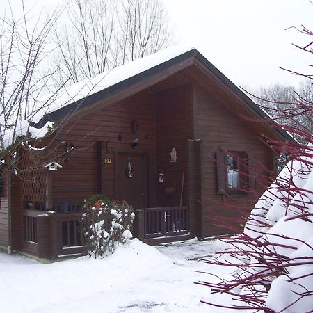 Komfortables-Ferienblockhaus-Nr-27-56-Qm-Bis-4-Personen-Viechtach-Jaegerpark Exterior photo